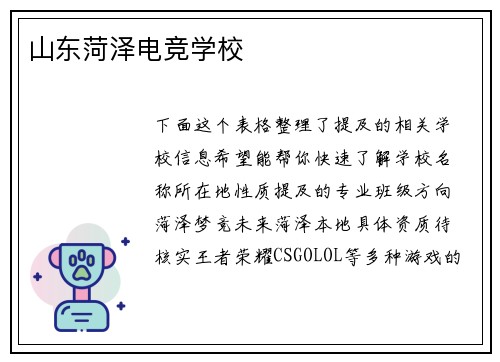山东菏泽电竞学校